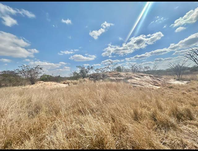 2,000M² SMALLHOLDING FOR SALE IN DALMADA AH